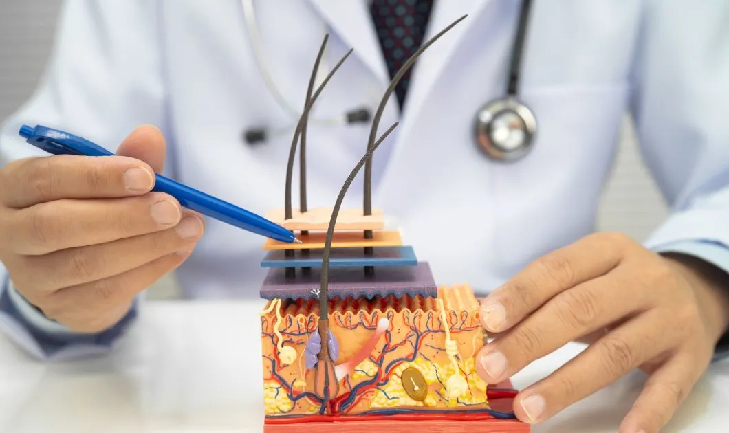 Best Hair Transplant Clinic in Dubai