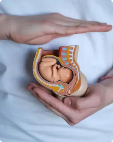 birth planning services