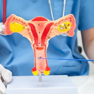 Annual Gynecology Check-Up in Dubai