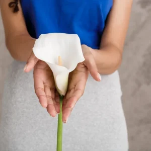 Vaginal laxity treatment